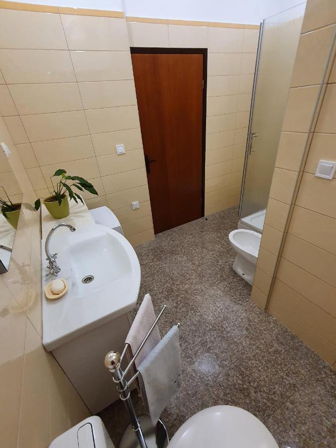 Apartment "House Tigra" 罗维尼 外观 照片